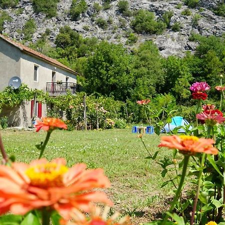 Camp Podkraj Hotel Virpazar Buitenkant foto